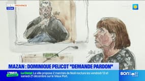 Procès des viols de Mazan: Dominique Pelicot demande pardon 