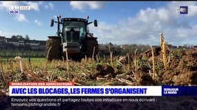 Mobilisation des agriculteurs: avec les blocages, les fermes s'organisent