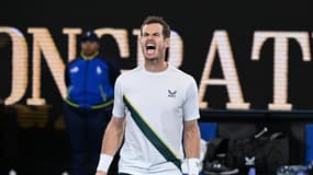 Andy Murray