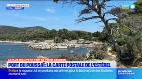Le plus beau port de pêche de la Côte d'Azur: à la découverte du port du Poussaï
