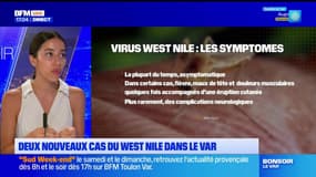 Var: deux nouveaux cas du virus West Nile détectés en une semaine