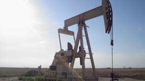 Les pays producteurs et exportateurs de pétrole comme la Russie et l'Iran souffrent de la chute des cours. 