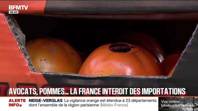 La ministre de l'Agriculture annonce la suspension des importations en France de certains produits d'Amérique du Sud