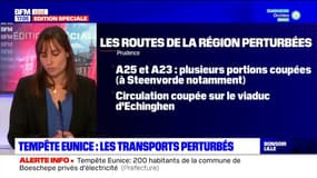Tempête Eunice: les transports du Nord et du Pas-de-Calais perturbés