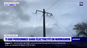 Tempête Ciaran: 11.600 foyers toujours privés d'électricité en Normandie