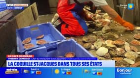 Le Café Normand: la coquille Saint-Jacques dans tous ses états