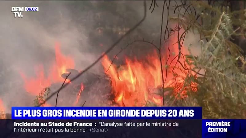 Incendies en Gironde: 2.800 hectares de végétation partis en fumée