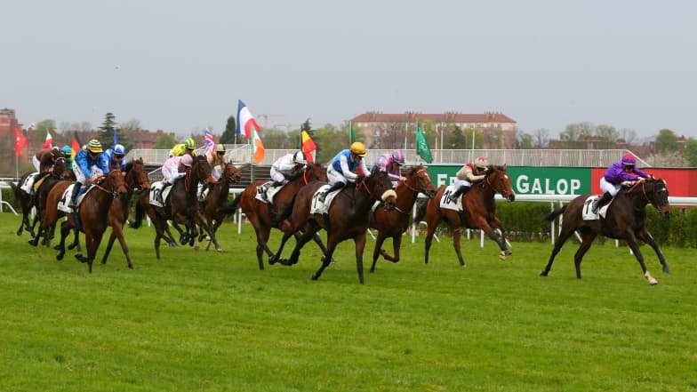 Les pronos hippiques du lundi 30 octobre 2023