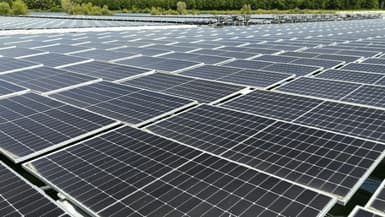 Des panneaux solaires à Perthes, dans le nord-est de la France, le 20 juin 2025