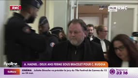 Adèle Haenel : deux ans ferme sous bracelet pour Christophe Ruggia