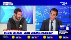 Bleu du Queyras: le bleu bientôt en AOP ? 