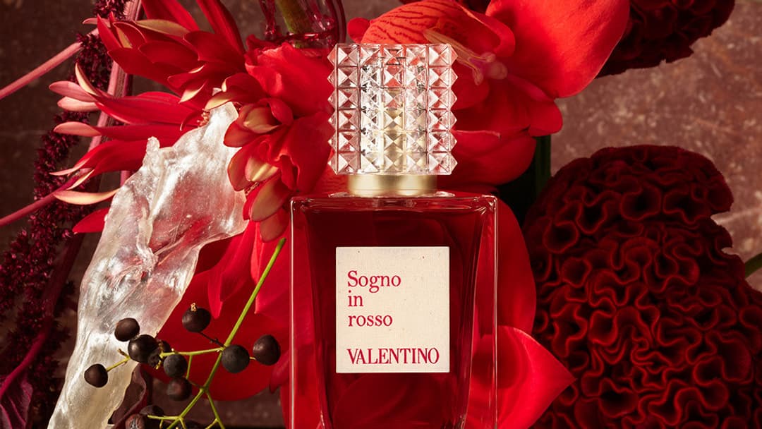Anatomy of Dreams, Valentino Anatomy of Dreams, Valentino