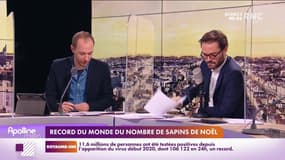 «Les histoires de Paul Barcelonne » : Record du monde du nombre de sapins de Noël et une prime au vaccin à New York