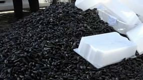Le tas de moule déversé ce lundi devant la préfecture du Nord