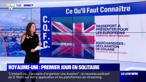 Ce que le Brexit change pour les Européens