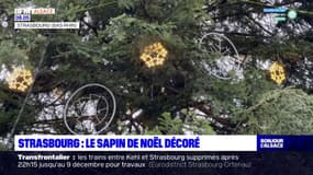 Strasbourg: le grand sapin de Noël décoré