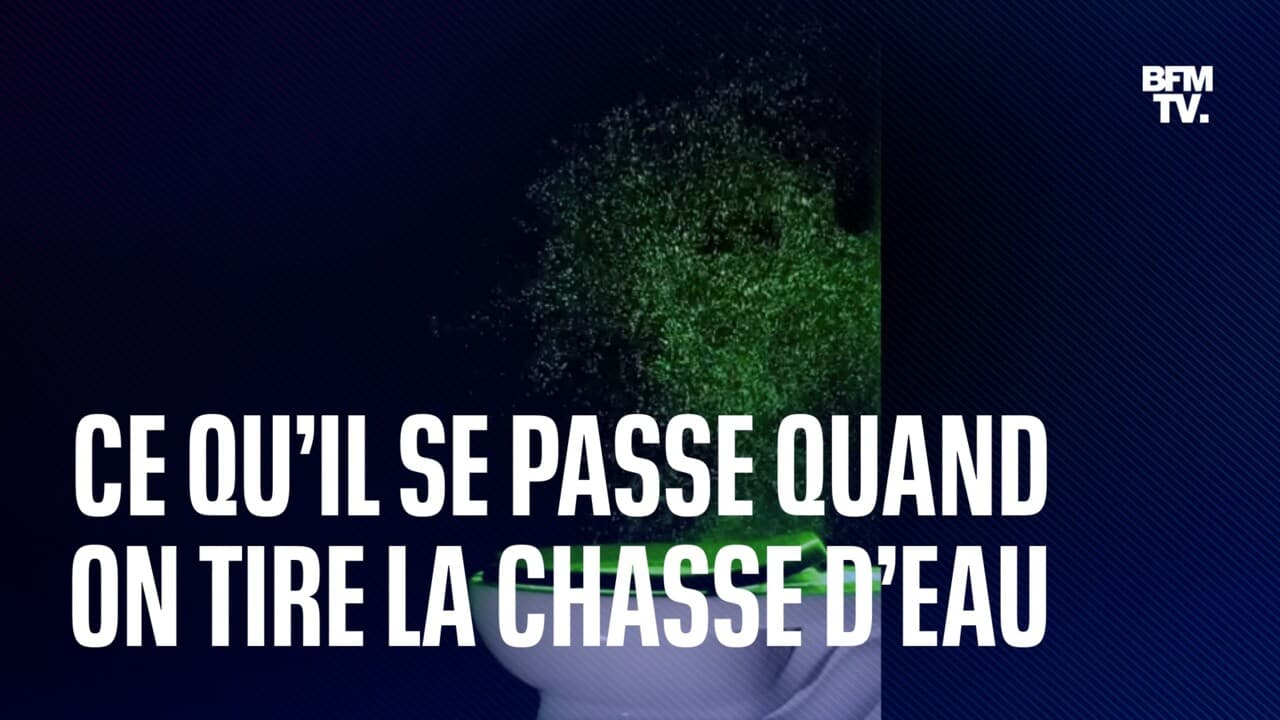 Voil Pourquoi Il Faut Baisser La Cuvette Des Toilettes Avant De Tirer La Chasse M Dias