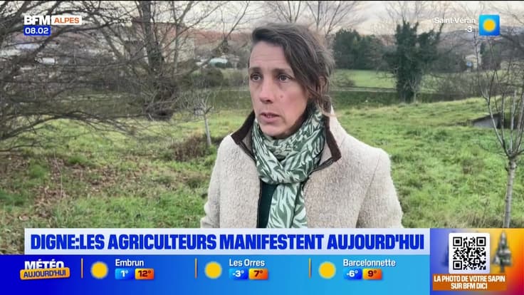 Le journal de 8h du jeudi 18 décembre 2025