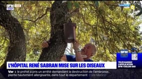 L'hôpital René Sabran labélisé ligue de protections des oiseaux