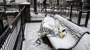 L'Ile-de-France active le plan "grand froid"