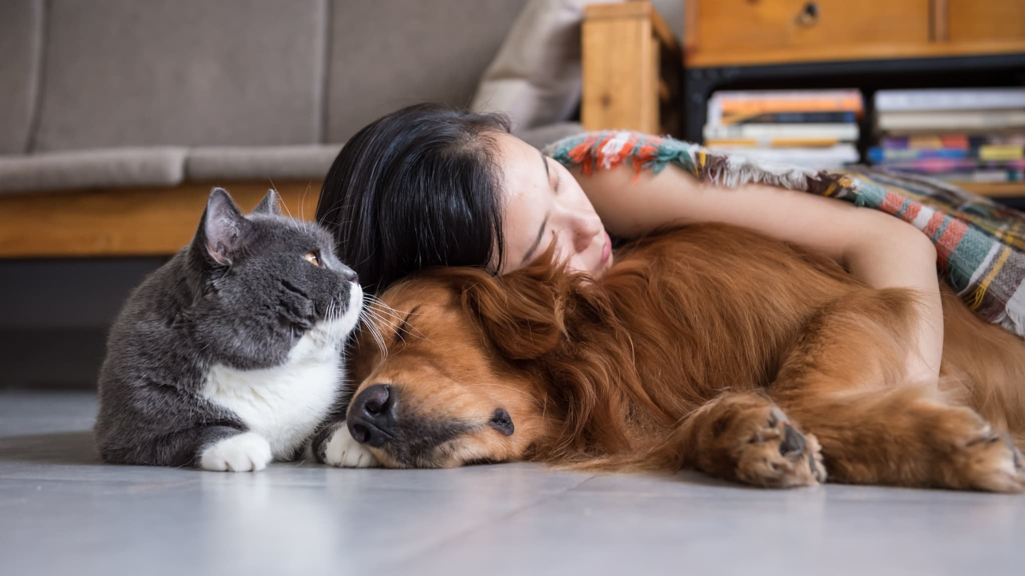 Proposer à son animal de compagnie une alimentation déséquilibrée peut se révéler dévastateur pour son organisme et entraîner diverses maladies. 