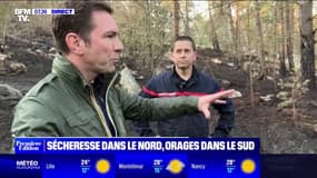 Dans la forêt de Fontainebleau, les sapeurs-pompiers se préparent aux incendies en raison de la sécheresse actuelle