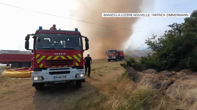 Lozère: un incendie détruit 70 hectares de forêt, le feu fixé par les pompiers