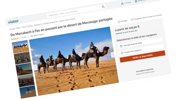 Capture d'écran du site Viator