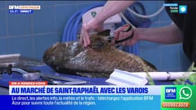 On a rendez-vous au marché République de Saint Raphaël : Pascal prépare son couscous de poissons