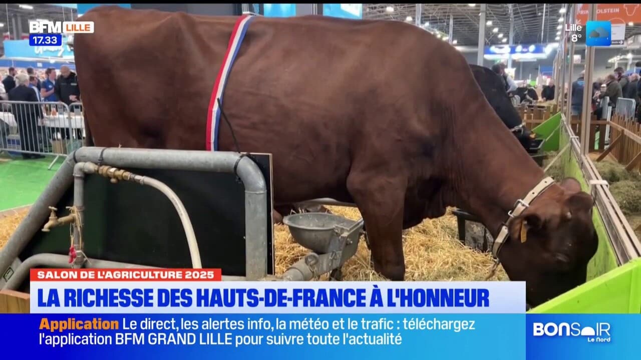 Salon de l'agriculture: les hauts-de-france mis à l'honneur