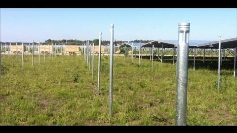 A Cestas, le plus grand parc solaire d'Europe sort de terre 