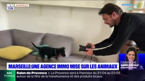 Marseille : une agence immobilière mise sur les animaux