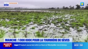 Manche: un million d'euros pour la Tourbière de Sèves