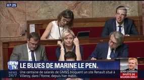 L’œil de Salhia: Le blues de Marine Le Pen