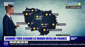 Météo Paris-Ile de France du 15 juin : De fortes chaleurs pour la journée