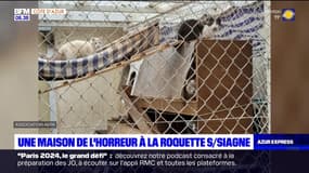Alpes-Maritimes: 117 cadavres de chats enterrés et congelés découverts dans une "maison de l'horreur"