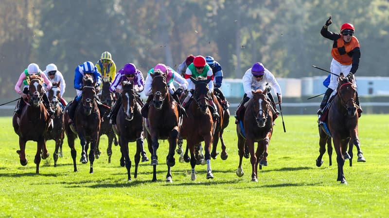 Les pronos hippiques du 11 mai 2025