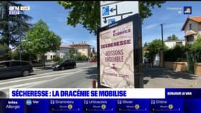 Sécheresse: l'agglomération Dracénie-Provence-Verdon se mobilise
