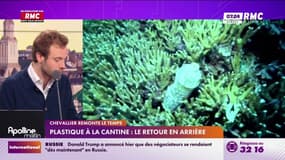 Plastique à la cantine : le retour en arrière
