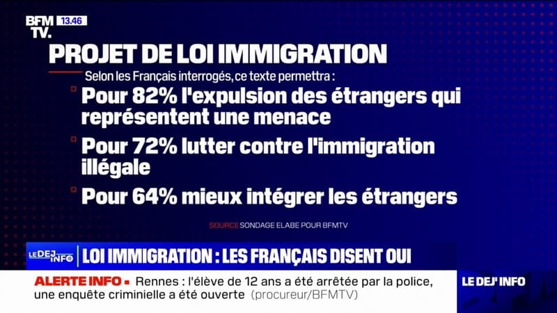 Loi immigration: qu'en pensent les Français?