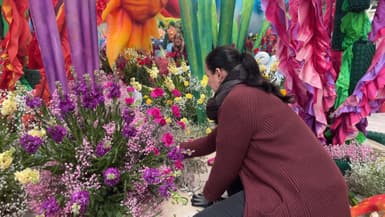 Des fleuristes installant des fleurs sur les chars de la première bataille de fleurs du carnaval de Nice 2025 (Alpes-Maritimes), le mardi 18 février 2025.