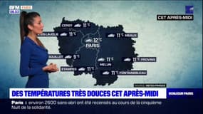 Météo Paris Ile-de-France: toujours de la grisaille pour ce mercredi