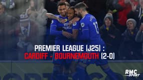 Résumé : Cardiff - Bournemouth (2-0) – Premier League