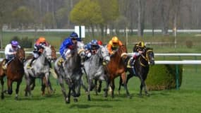 Les pronos hippiques du 13 juillet 2023