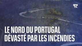 Les images du nord du Portugal, dévasté par les incendies 