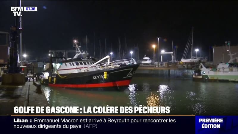 La colère des pêcheurs face à l'interdiction de la pêche dans le golfe de Gascogne pour protéger les dauphins