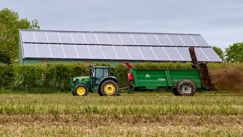 Projet de loi d'urgence agricole: les députés donnent leur feu vert à l'alourdissement des sanctions contre les vols dans les exploitations agricoles