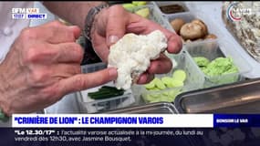 Saint-Tropez: le chef du restaurant Colette ajoute la "Crinière de Lion" à ses plats, un champignon rare