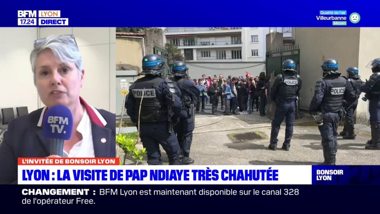 Visite Perturbée De Pap Ndiaye à Lyon: La Députée Renaissance Du Rhône ...