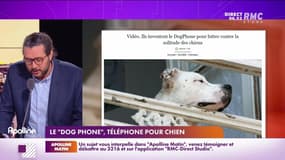 Les histoires de Charles Magnien  : Le "dog phone", téléphone pour chien - 18/11